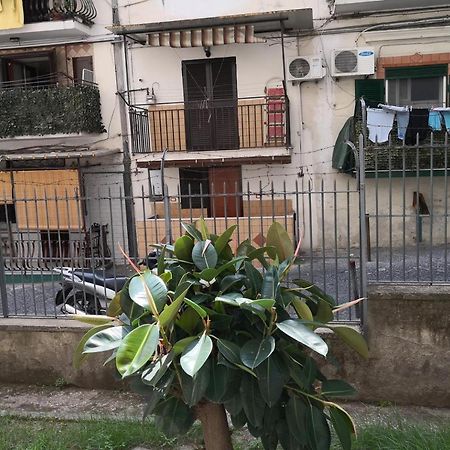 Fenesta Vascia Bed & Breakfast Naples Luaran gambar
